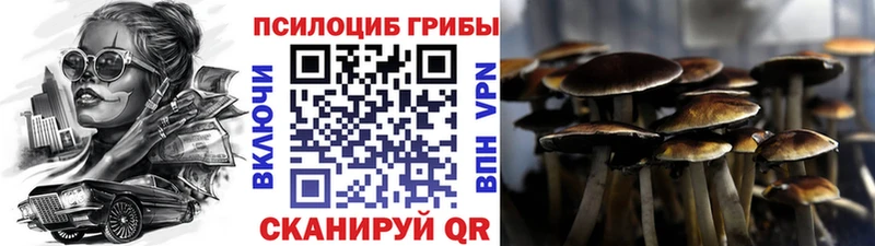 Псилоцибиновые грибы мухоморы Кола